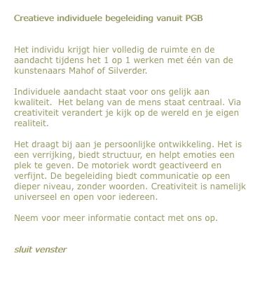 Creatieve individuele begeleiding vanuit PGB